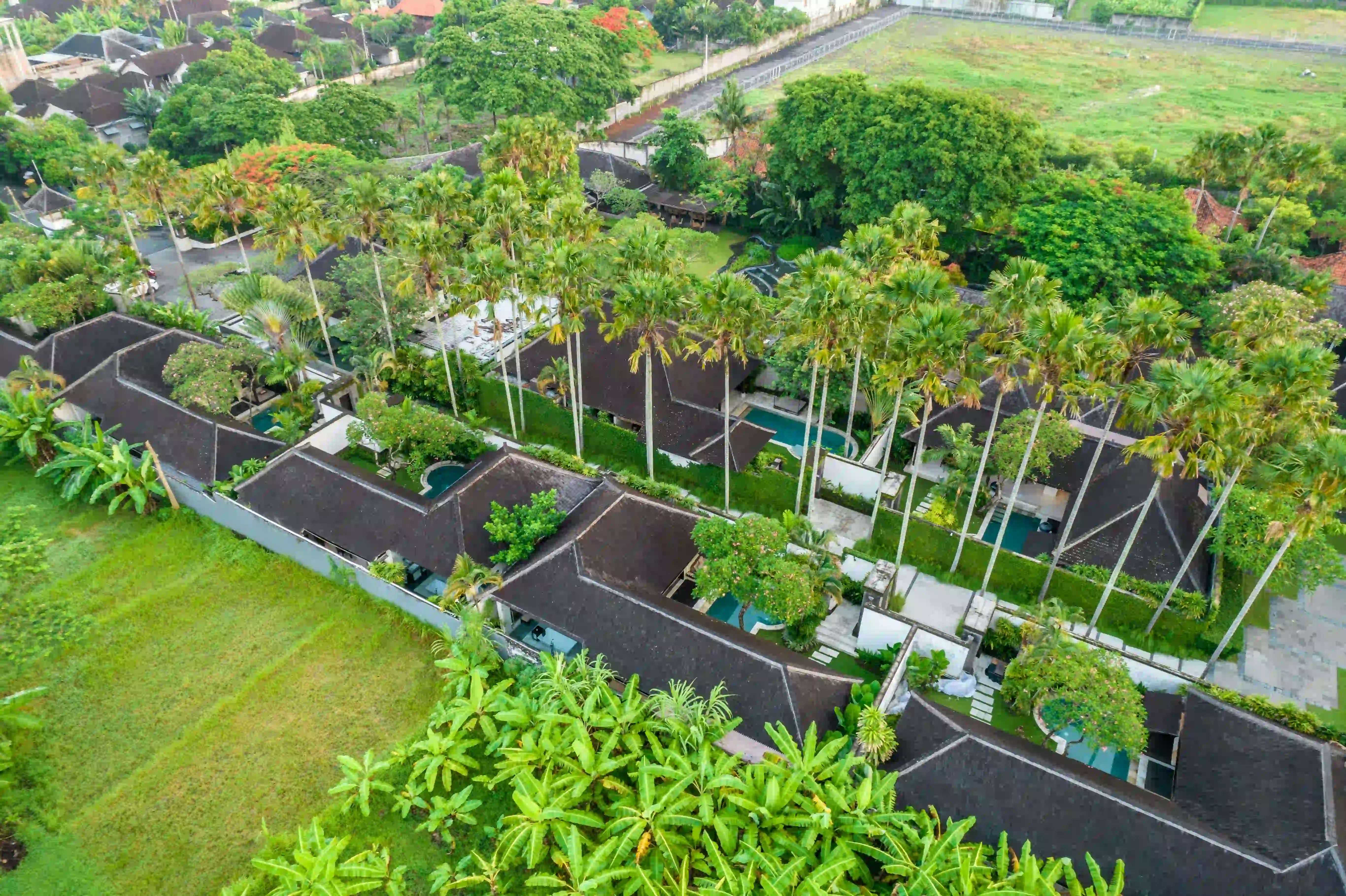 Bali — investment coverage