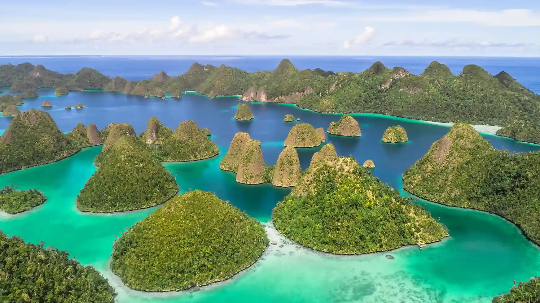 Raja Ampat — investment coverage