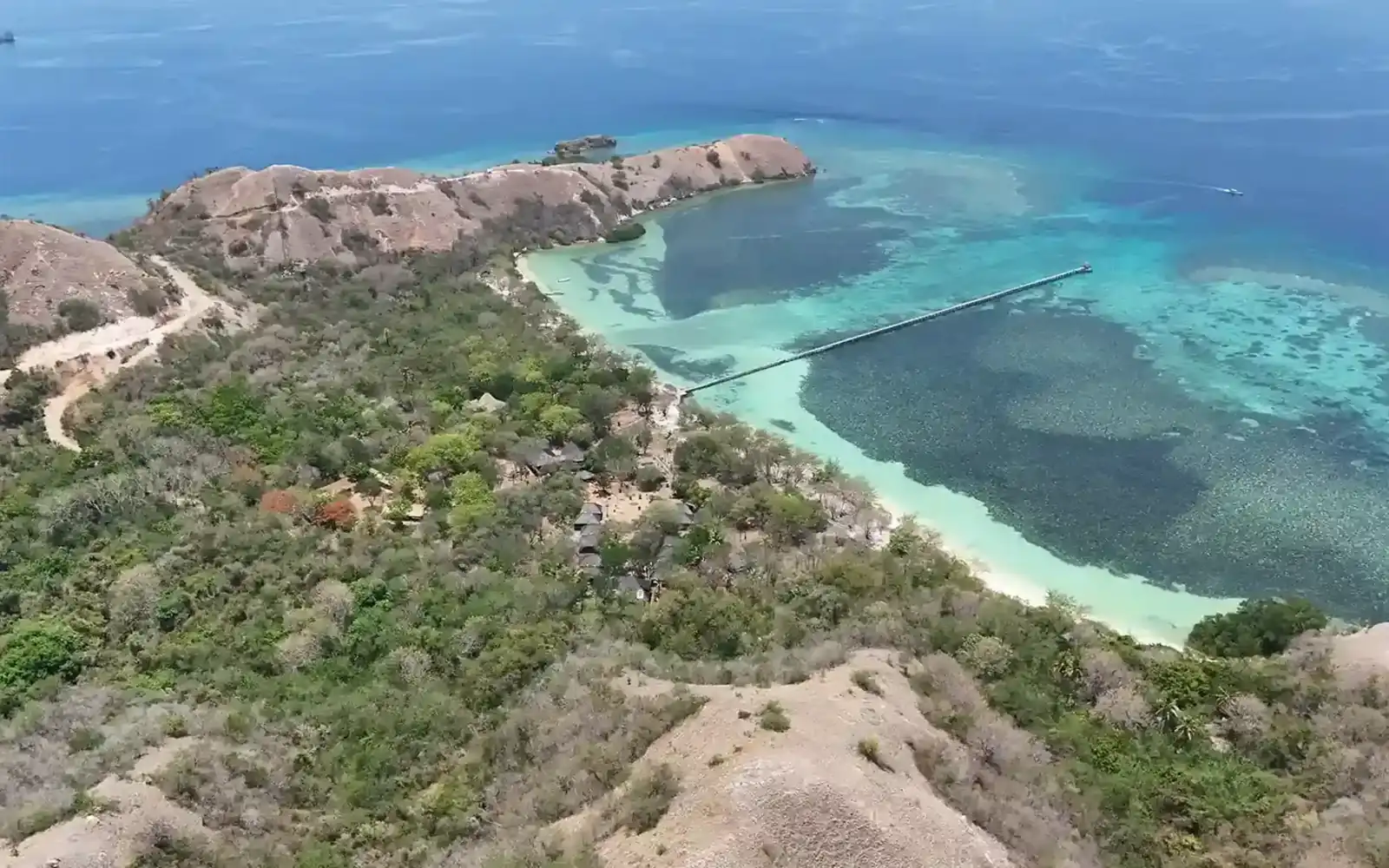 An aerial view of a coastal headland and reef, typical of the parcels a survey day covers