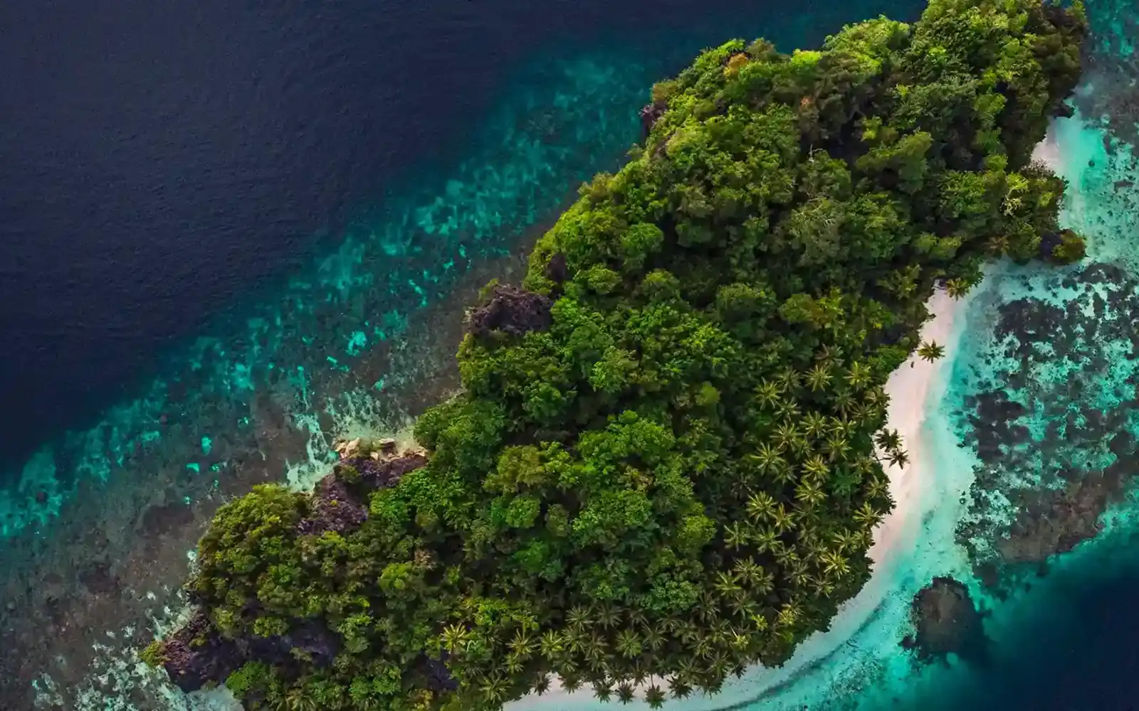 An aerial view of a forested Indonesian island fringed by shallow reef and white sand