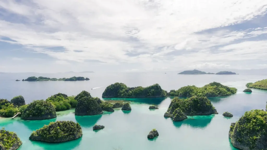 Late-2027 Luxury Charter Trends: Focus on West Papua and the Bird’s Head Seascape