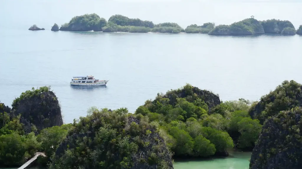 Raja Ampat Eco-Models For 2027