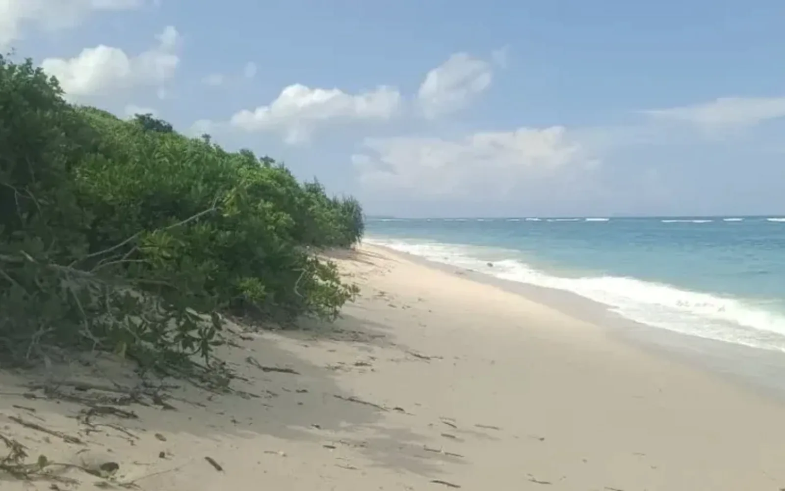 Undeveloped coastal beach frontage backed by tree line, typical of the parcels this desk covers